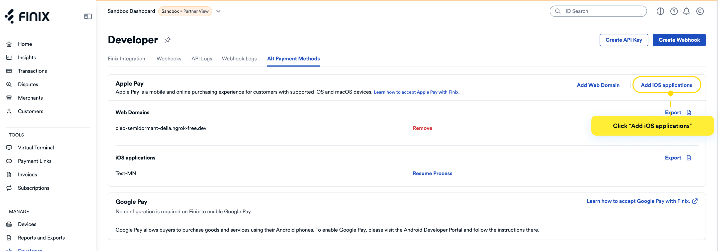 Apple Pay iOS - Application View