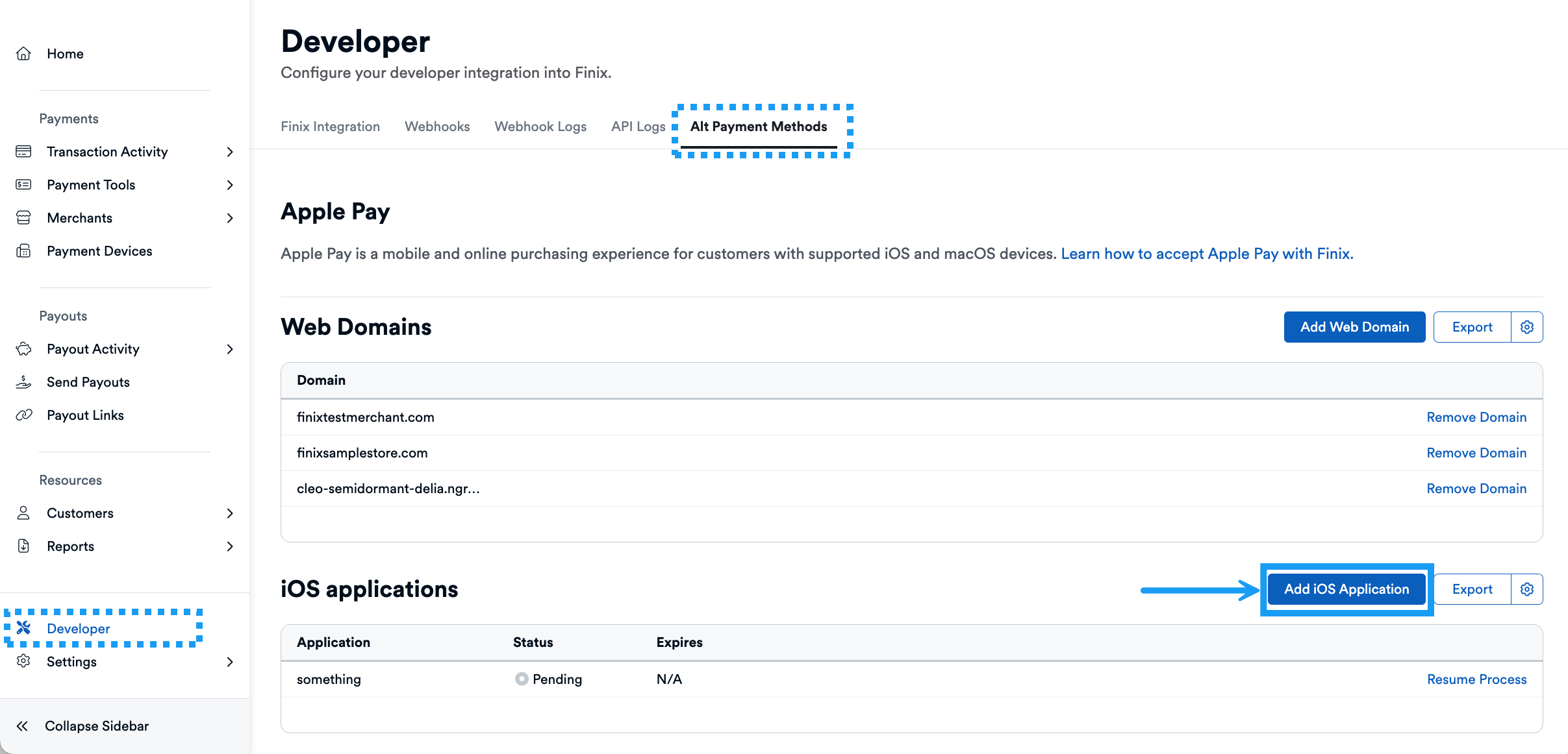 Apple Pay iOS - Application View