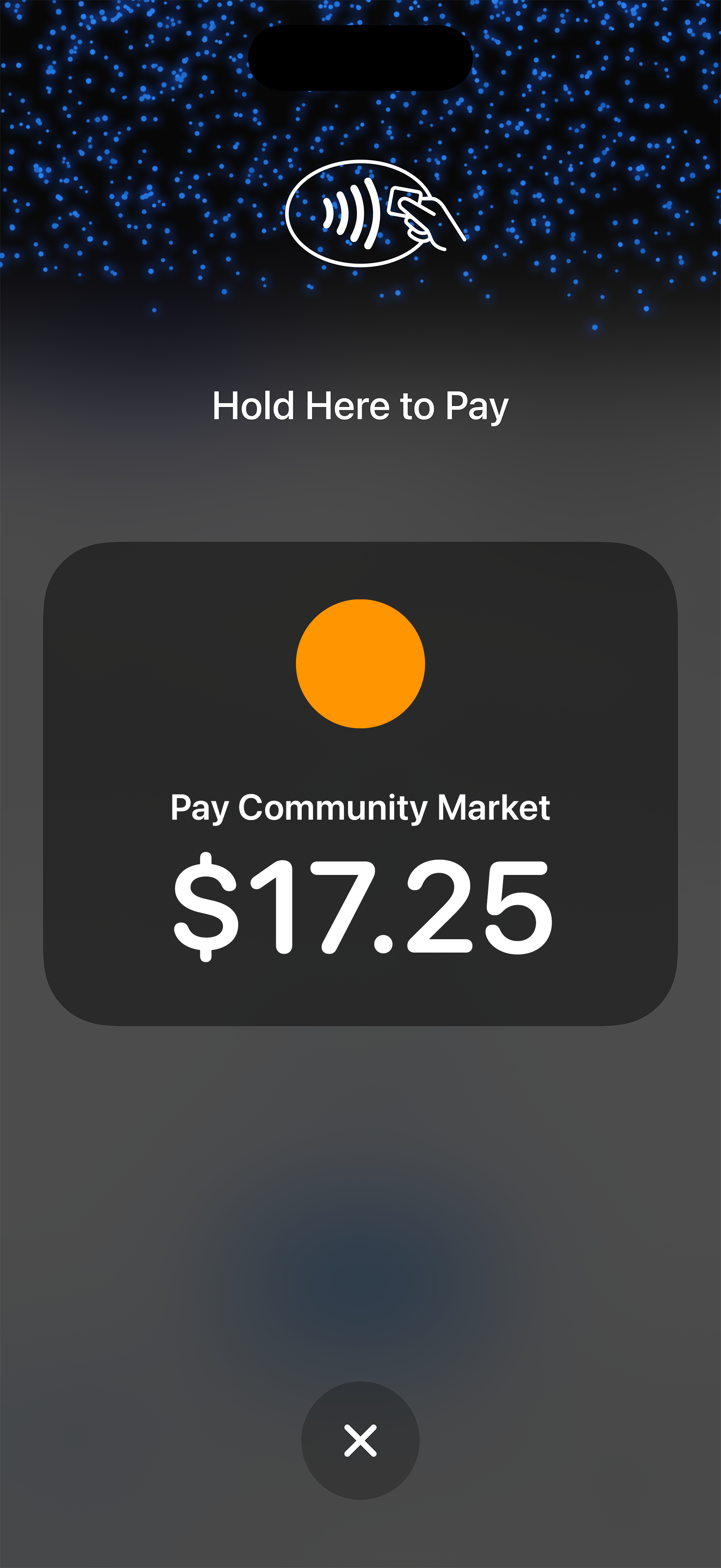 Finix Checkout iOS app Tap to Pay screen ready to accept a contactless payment